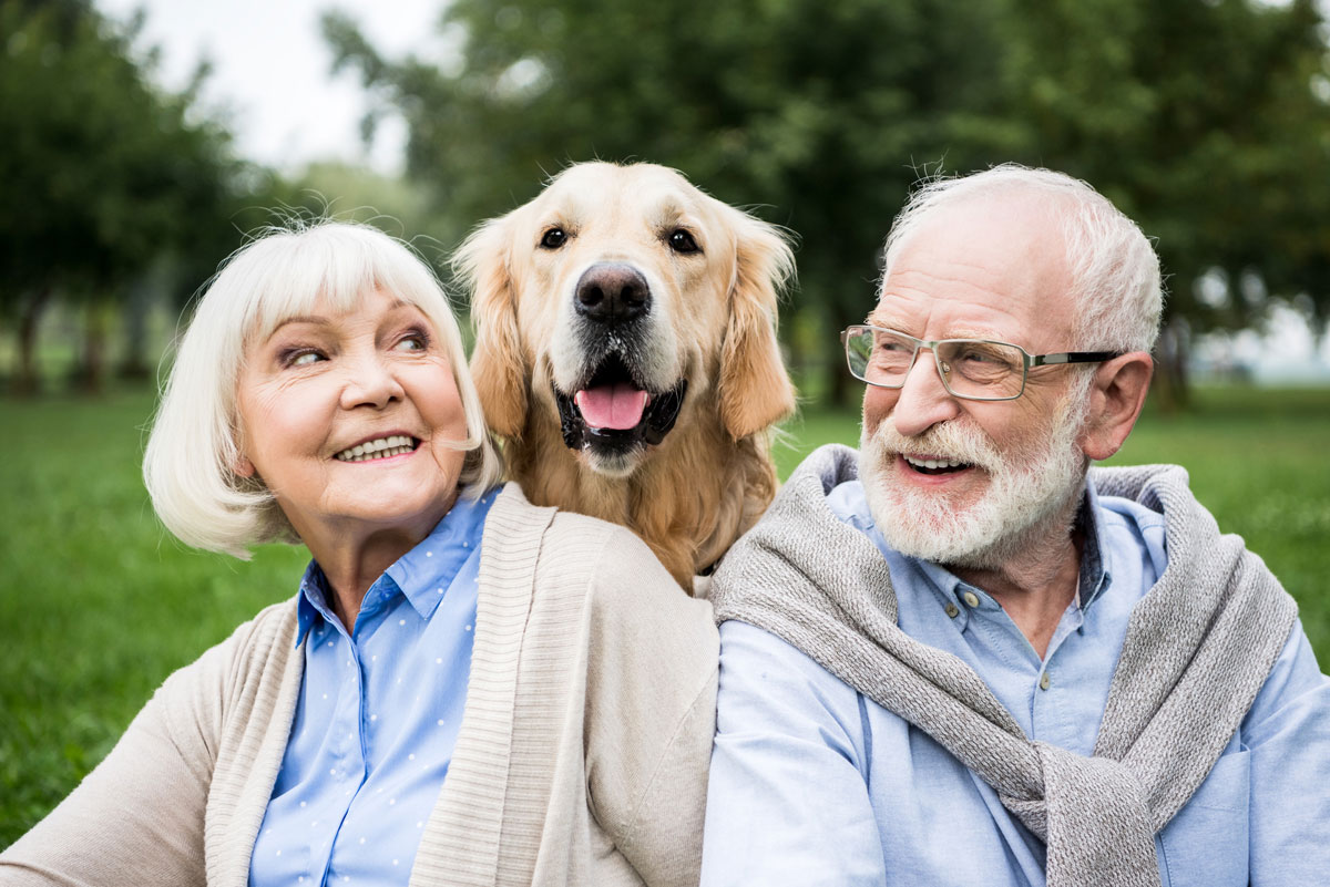 A senior man and a senior woman post with a photo with their golden retriever