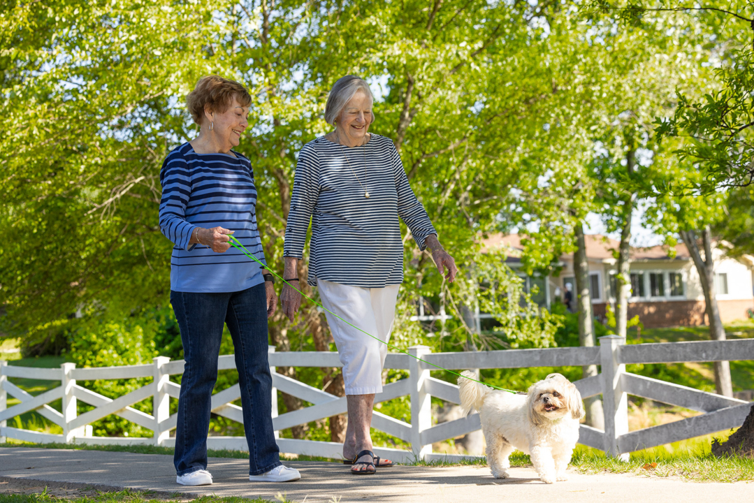 Gallery-DogWalking