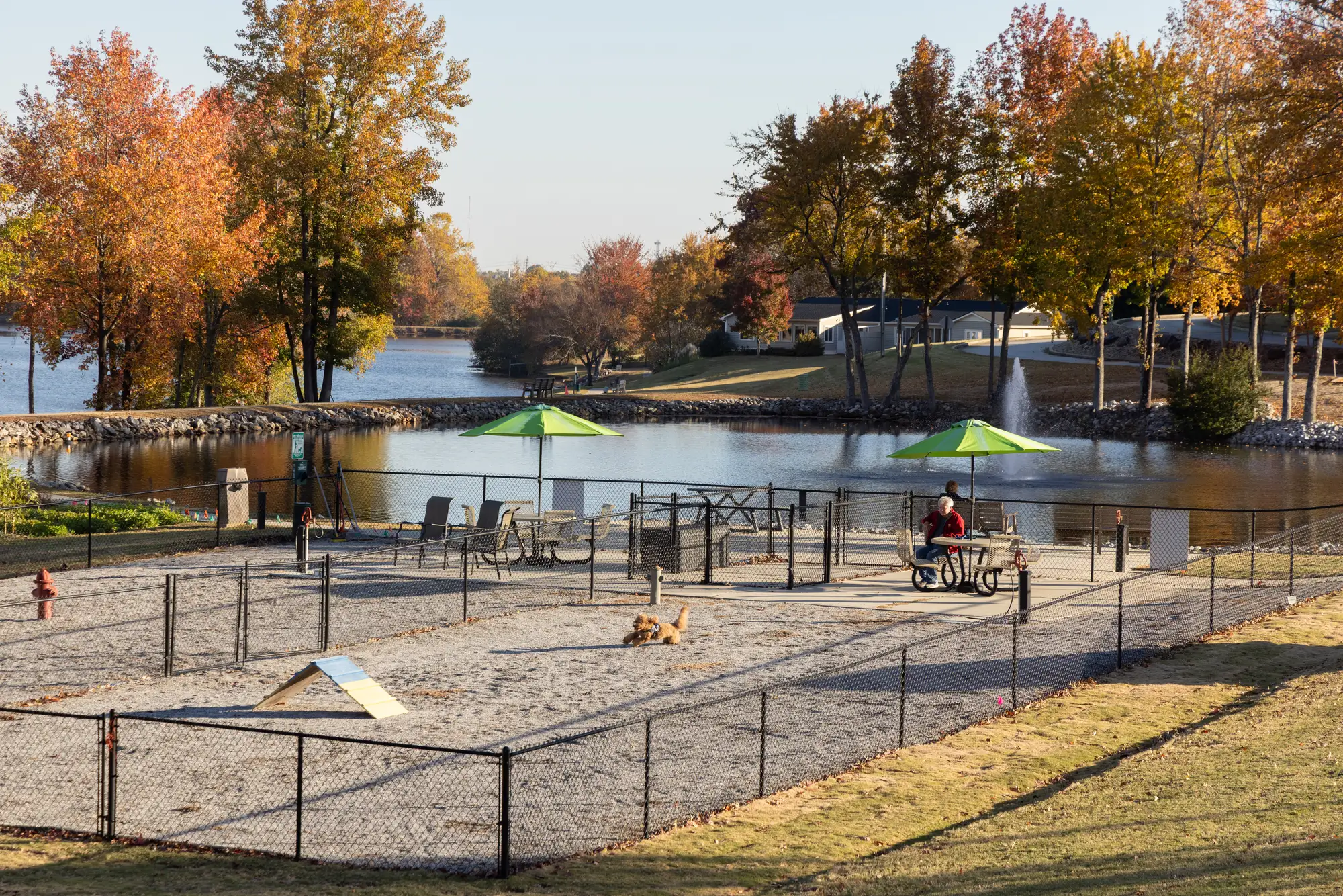 Dog agility park for seniors with pets at Rolling Green Village, a pet-friendly senior living community in Greenville, SC.